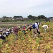 odaka_treeplanting19.jpg