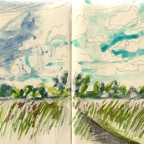 WICKEN-FEN-2008