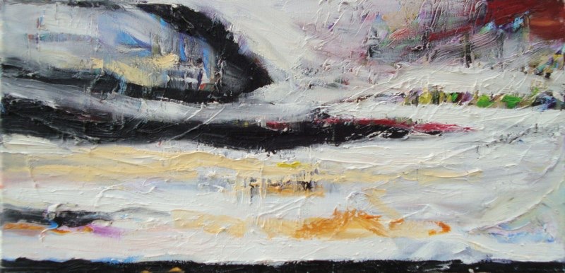 Downham Fen Sky. 22 x 12